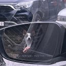 호리펜션5동 | 충남 태안 애견 글램핑과 바베큐 펫앤트리 강아지 전용 글램핑