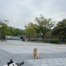 영남대학교인문계학생식당