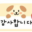 웰리스 동물병원 이미지