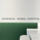 서대구동물병원 이미지