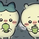 식껍원종점 네이버블로그