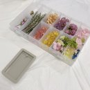 세렌아토