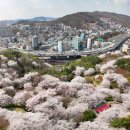 모텔 린 | 2026 서대문 봄빛축제｜가왕전 벚꽃마당 일정, 린·테이·박구윤 콘서트·교통·주차·맛집·숙소 봄빛...