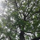 백양산업 이미지