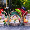 ㈜대성투어 이미지