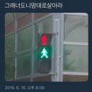 정(井)노래연습장 | 이 나이에 또 배울 게 있다니 2