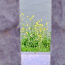 강변로(남천) 이미지