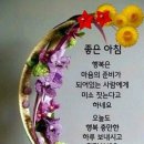 다함동물병원