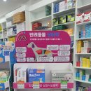 종로밝은약국 네이버블로그