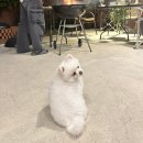 델루나 관광펜션