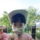 완산칠봉 유아숲체험원 이미지
