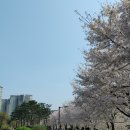 운중천 화장실 네이버블로그
