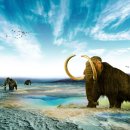 목포자연사박물관 이미지