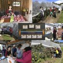 팔복농장 이미지