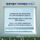 털로덮인 친구들 커먼그라운드점 이미지