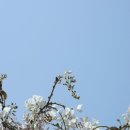 무안북중학교 이미지