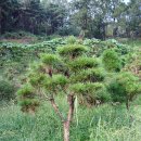 여송농장 이미지