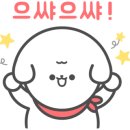 사개절 펫살롱 이미지