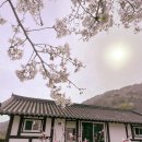 희망밥집