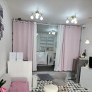 까미애견샵 이미지