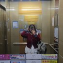 울주공연배달 8회차 | 36. 끝 없는 도전 // 4월 일상