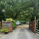 약식동원 다루야 이미지