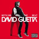 David Guetta - Titanium (Feat. Sia) 이미지