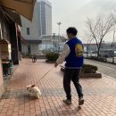 리오동물병원 이미지