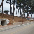 군산대학교 입구 이미지
