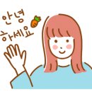 하늘이네 애견 미용 이미지