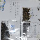 연님농장 이미지