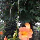 절골세천 이미지