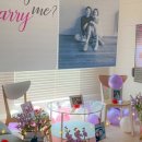 춘천 프로포즈 이미지