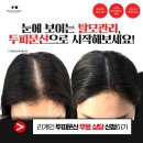 리게인프로젝트 이미지