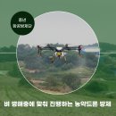 벼 병해충에 맞춰 진행하는 농약드론 방제