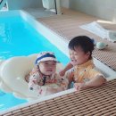 코코야자 키즈 풀빌라 펜션 | 코코야자 키즈풀빌라 경주펜션에서 아이 둘과 여름휴가