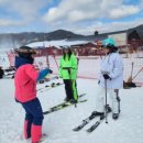 스키 | 무주 스키강습 비용 멘토에서 초등 어린이 스키강습 후기