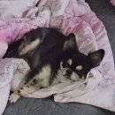 광안로 | 122125-122225 부산 여행