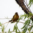 장수천농장 이미지