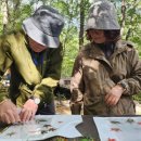 광산구치매안심센터 이미지