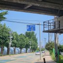 세미원 연꽃박물관 | 서울 근교 여행 양평 두물머리, 세미원 연꽃 축제 개화 현황