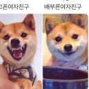 공감