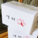 눈 맞고 서리 맞은 배추로 김장했습니다&amp; 백김치 이미지