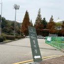 히든스테이크 | 히든가든 웨딩 하객 후기 : 주차·셔틀·식사 정보