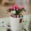 경운초병설유치원 이미지