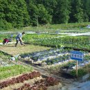 온천농장 이미지