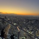 스카이 | 도쿄 시부야스카이 후기 및 꿀팁!