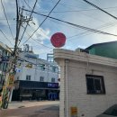 코랄밸리 | 신대방삼거리 카페 코랄밸리 조개마카롱 맛집 내돈내산 솔직후기