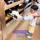 세상목장 | 김포 꿈목장 체험 아이랑 가볼만한곳 김포농촌투어패스