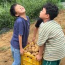 사재산마을 이미지